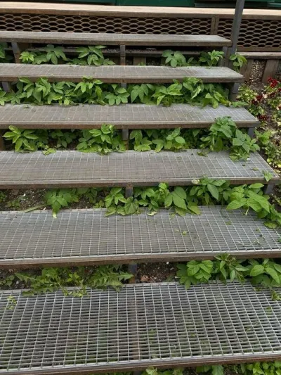 Металлические лестницы из просечно-вытяжного листа