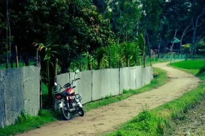 Почему нужно выбрать профнастил для забора?