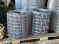 Иконка Сетка сварная оцинкованная 50х50х1,6 мм в рулонах 1,5х50 м