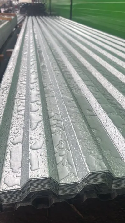 Профнастил C21 оцинкованный 1050х6000х0,50 мм купить в Москве