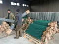 Иконка Сетка рабица ПВХ 55х55х2,5 мм 1,5х10 м